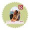 Pistachio Green Mat Board for 16x20 Frames - Oval Opening for 11x17 Photos